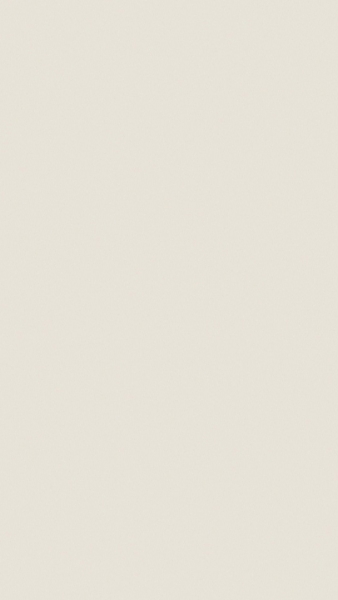 2456LT-silver-lake-rauvisio-tone