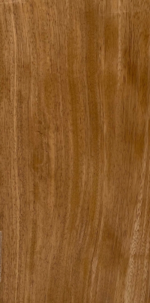 kambala-escura-listada