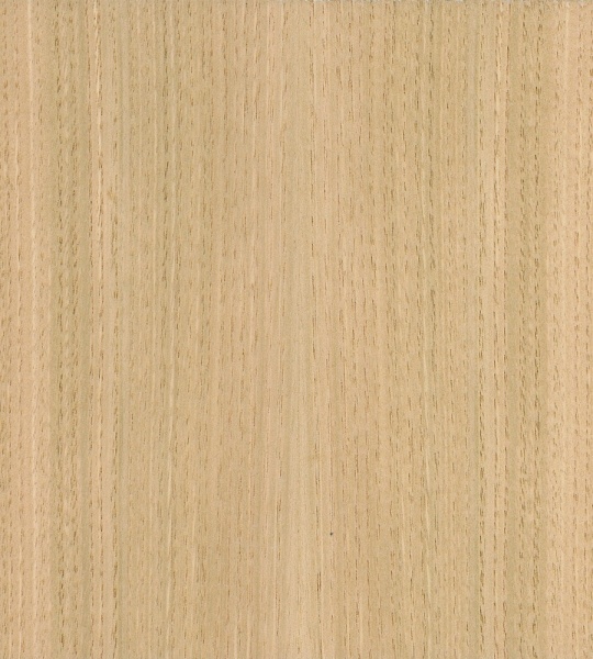folha-de-madeira-natural-castanho
