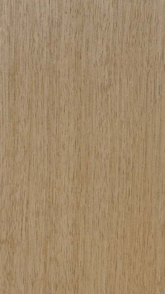 folha-madeira-natural-tola